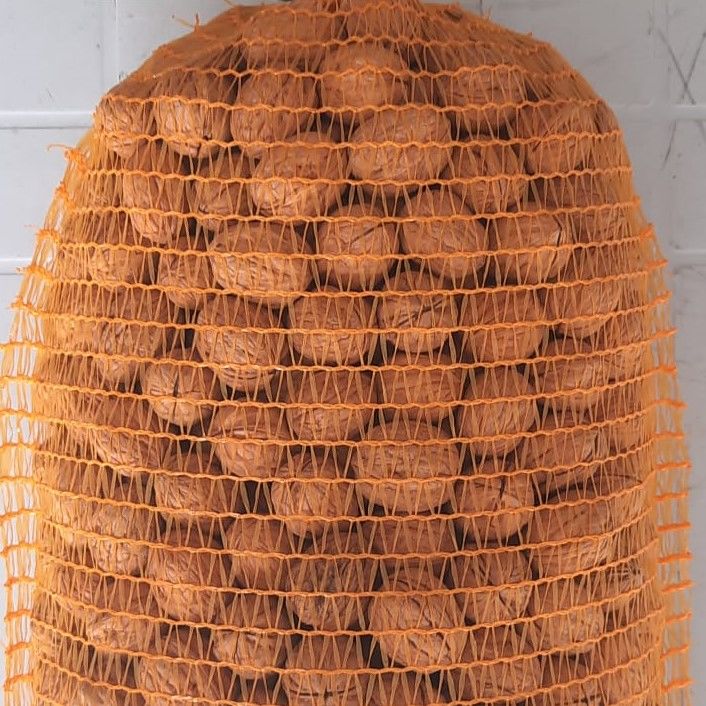 Kabuklu Ceviz - Orta Boy - 5 kg